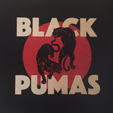 Black Pumas