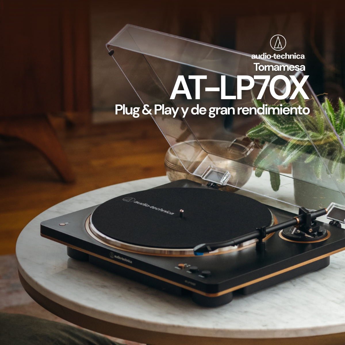 Imagen de diapositiva