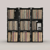 Caja de almacenaje FlexiCube