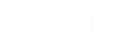 Needle