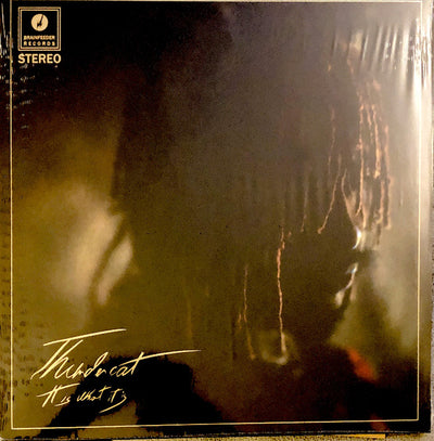 It Is What It Is — Thundercat