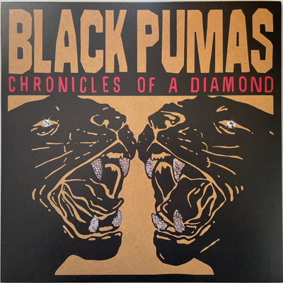 Chronicles of a Diamond — Black Pumas
