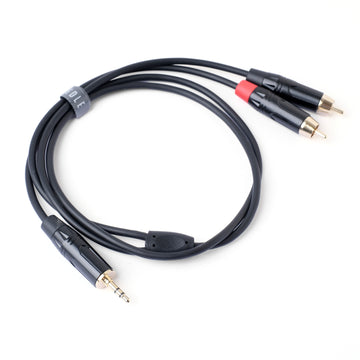 Cable de audio Needle de 2 RCA a miniplug de 3,5 mm