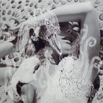 Portada del vinilo Vespertine de Björk