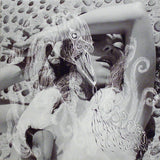 Portada del vinilo Vespertine de Björk
