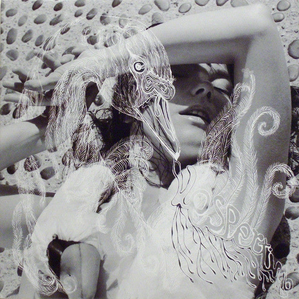 Portada del vinilo Vespertine de Björk